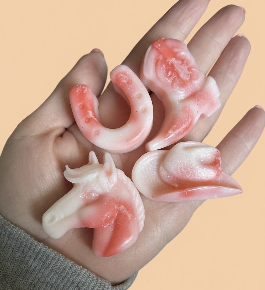 Country Style Wax Melts (4)